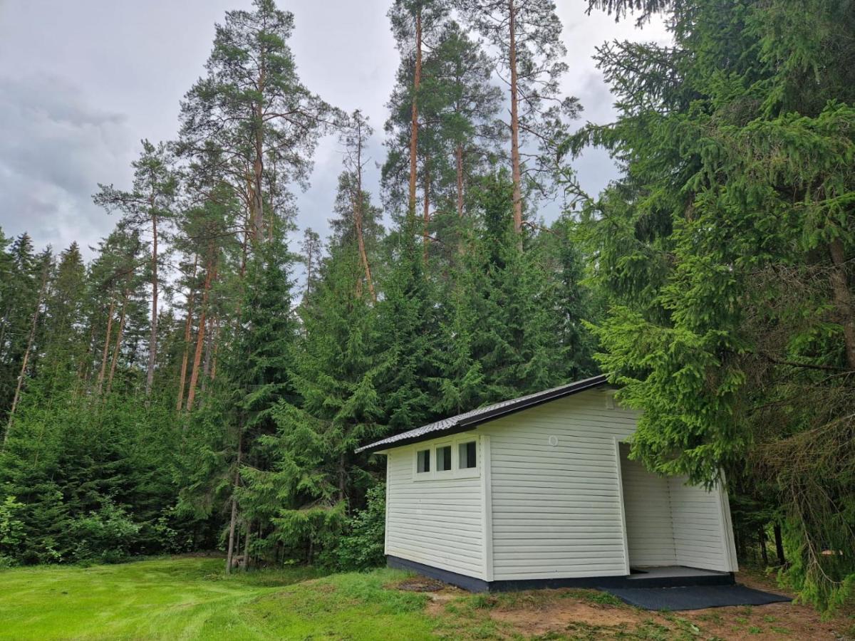 Liivakortsi Kaemping *