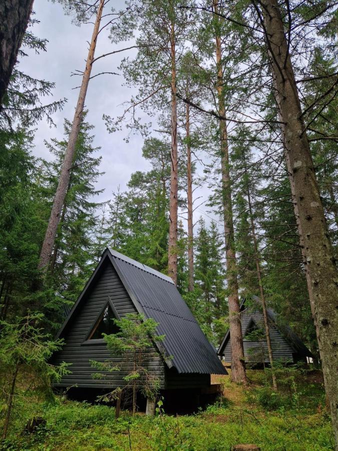 Laagriplats Liivakortsi Kaemping *