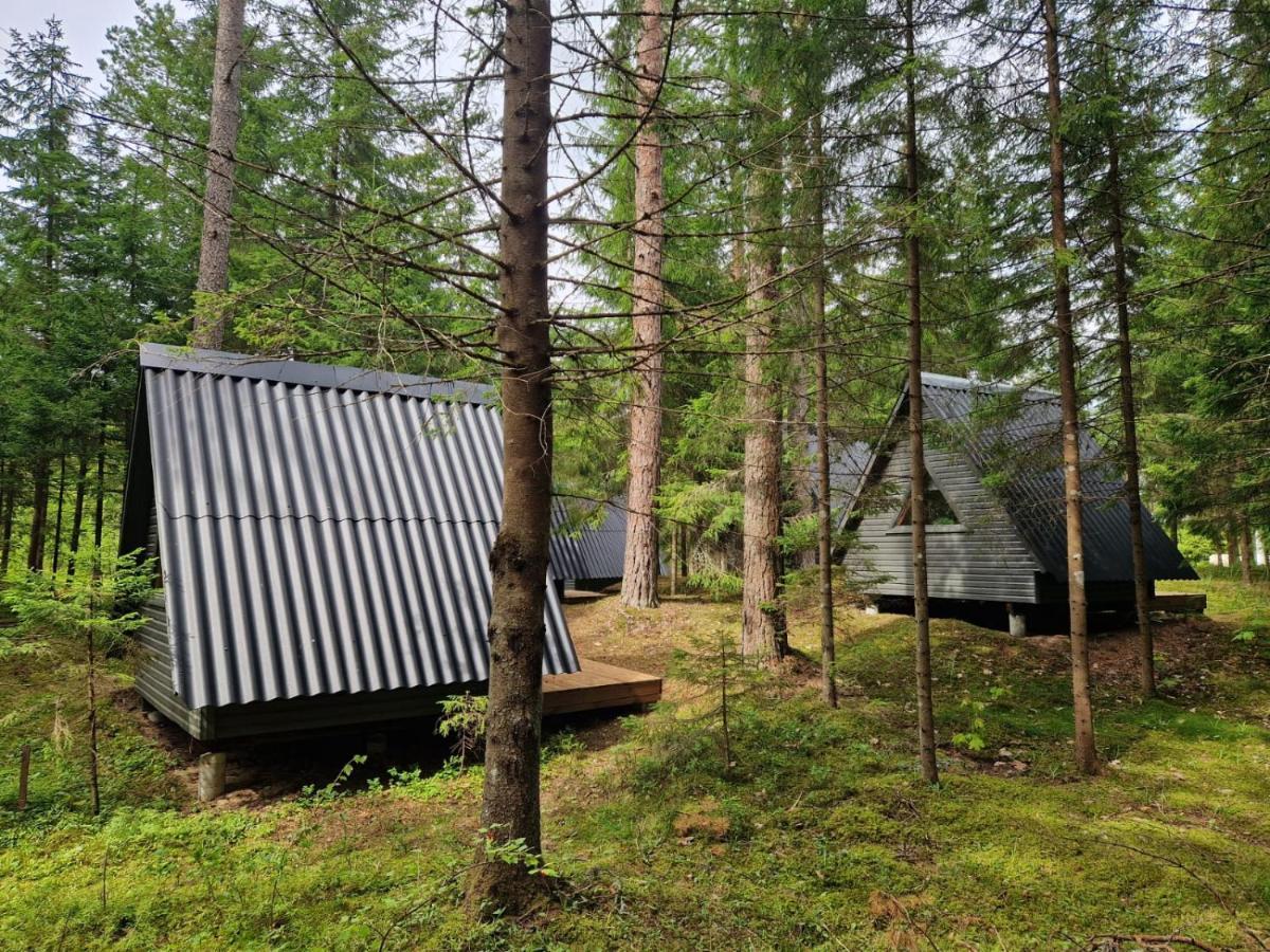 Liivakortsi Kaemping Laagriplats *