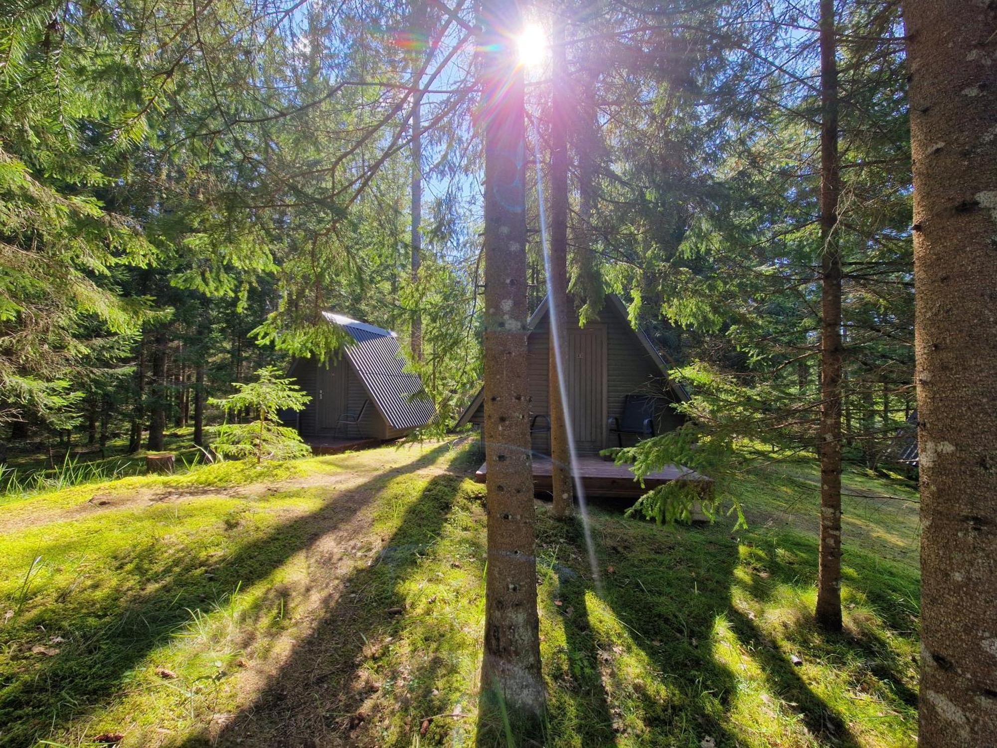 Liivakortsi Kaemping *